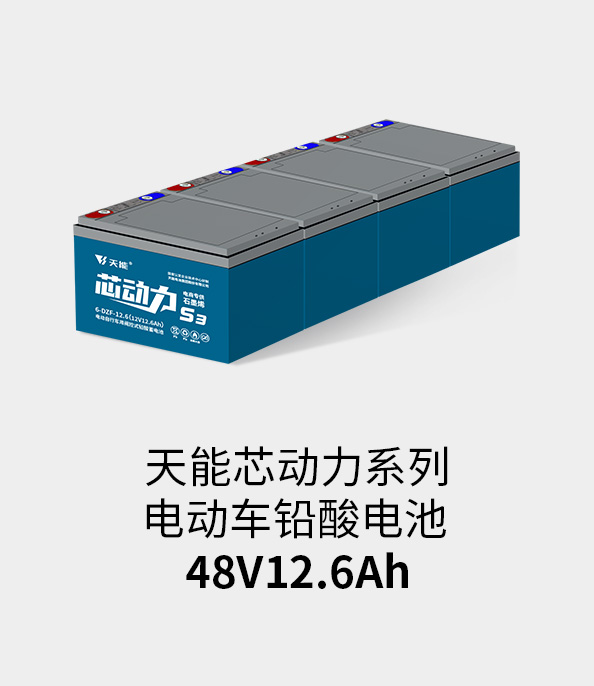 正点游戏电池48v12ah