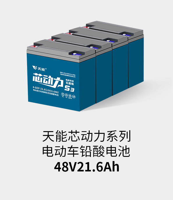 正点游戏电池48v20ah