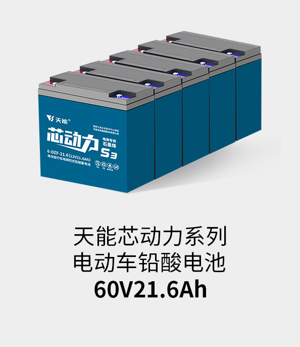 正点游戏电池60v20ah