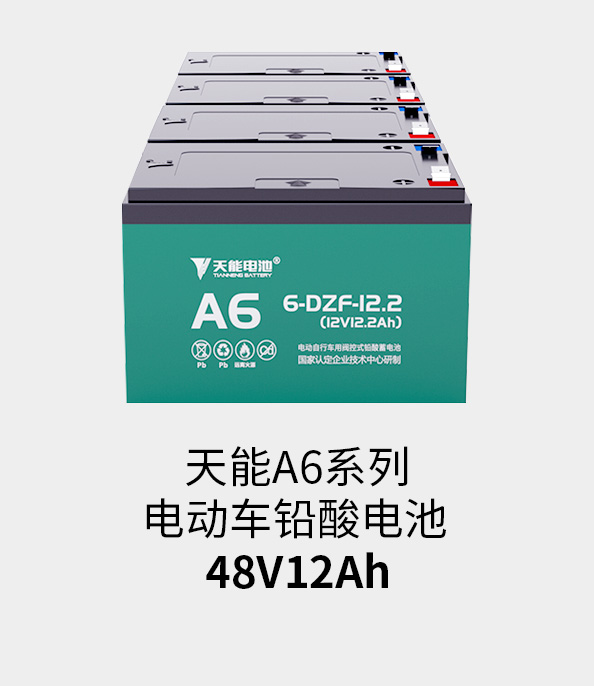 正点游戏电池48v12ah