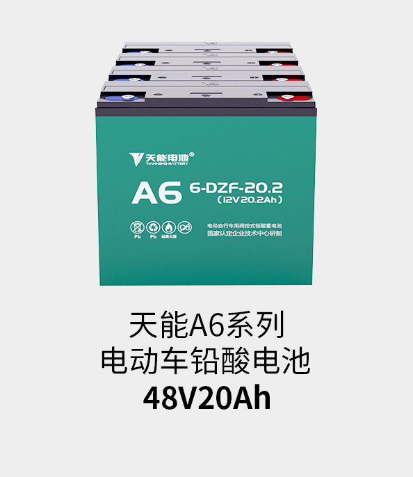 正点游戏电池48v20ah