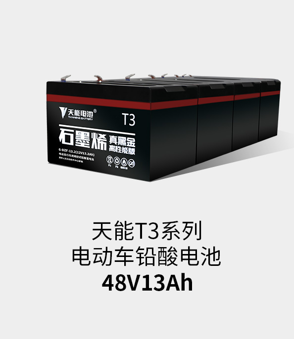 正点游戏T3系列48v13ah