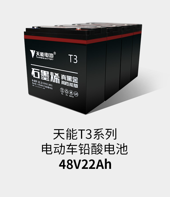 正点游戏T3系列48v22ah