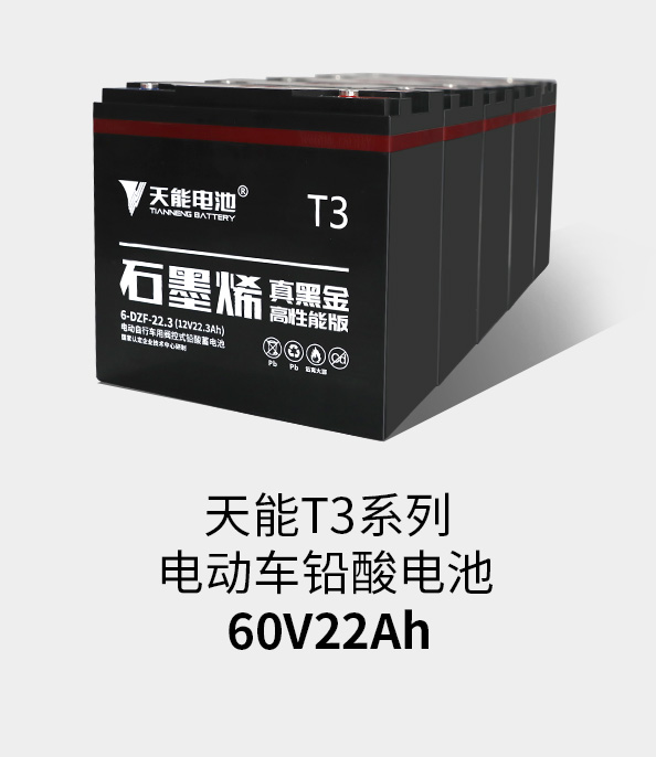 正点游戏T3系列60v22ah