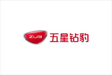 正点游戏电池合作伙伴 五星钻豹电动车